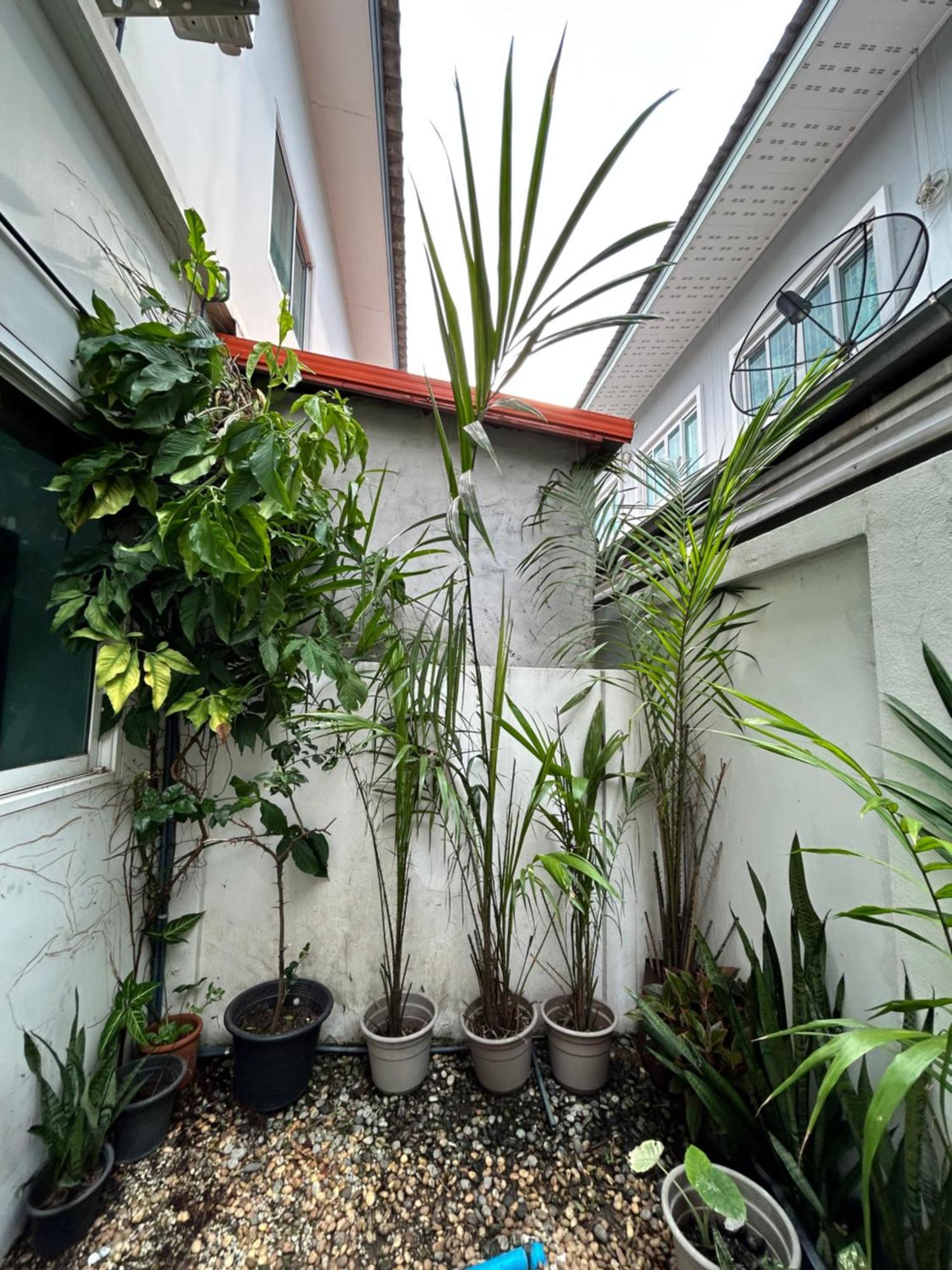 ไนซ์สเตย์ เฮาส์ แอทคลองสาม รังสิต คลองหลวง ปทุมธานี Nice Stay House At Khlong Sam - Rangsit - Khlong Luang - Phathumthani Εξωτερικό φωτογραφία